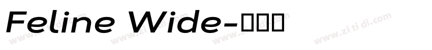 Feline Wide字体转换